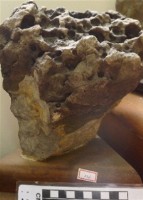 藏品(礦石)的圖片