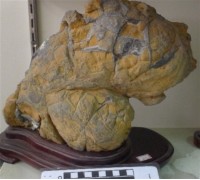 藏品(礦石)的圖片