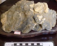 藏品(礦石)的圖片