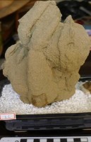 藏品(礦石)的圖片