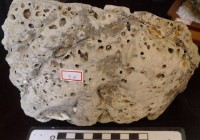 藏品(礦石)的圖片