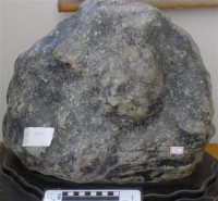 藏品(梅花玉)的圖片