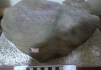 藏品(礦石)的圖片