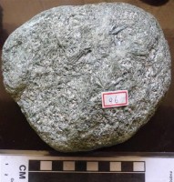 藏品(礦石)的圖片