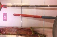 藏品(傘)的圖片