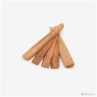 藏品(南管樂器-拍)的圖片