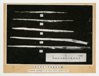 藏品(潮音洞出土骨製長條尖器圖	 	)的圖片