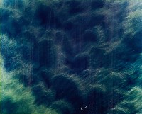 藏品(彩竹的故鄉)的圖片