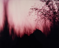 藏品(彩竹的故鄉)的圖片