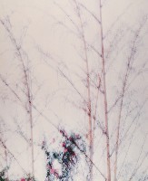 藏品(彩竹的故鄉系列-1996年9月 新北大坑尾)的圖片