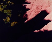 藏品(彩竹的故鄉)的圖片