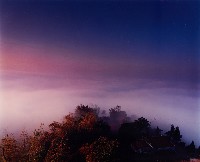 藏品(彩竹的故鄉)的圖片