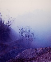 藏品(彩竹的故鄉)的圖片