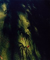 藏品(彩竹的故鄉)的圖片