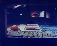 藏品(戀戀鄉情10-9)的圖片