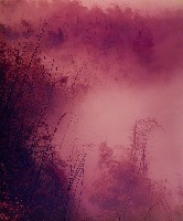 藏品(無名)的圖片