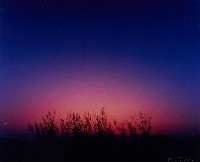 藏品(無名)的圖片