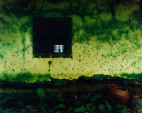 藏品(戀戀鄉情)的圖片