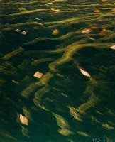 藏品(五彩繽紛)的圖片