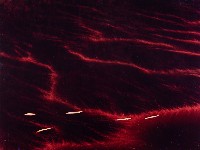 藏品(無名)的圖片