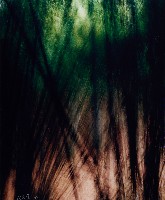 藏品(無名)的圖片