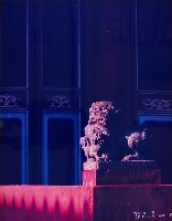 藏品(孔廟守護者)的圖片