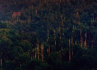 藏品(龍崎烏山頂)的圖片