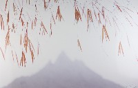 藏品(彩竹的故鄉系列-1996年1月 左鎮鹽水坑)的圖片