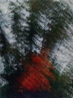 藏品(彩竹的故鄉系列-1996年11月 左鎮岡林)的圖片