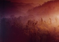 藏品(無名)的圖片