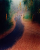 藏品(彩竹的故鄉系列-1998年3月 龍崎烏山頭)的圖片