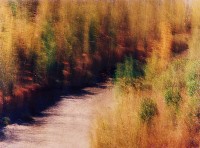 藏品(彩竹的故鄉)的圖片