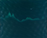 藏品(夢幻月世界)的圖片