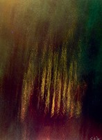 藏品(左鎮 紅毛寮)的圖片