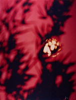 藏品(無名)的圖片