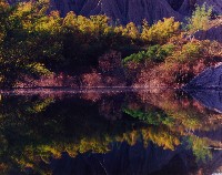 藏品(彩竹的故鄉)的圖片