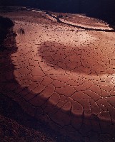 藏品(大地讚歌-3)的圖片