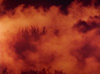 藏品(無名)的圖片