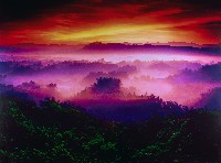 藏品(夢幻月世界)的圖片