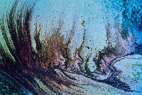 藏品(用心看台灣系列-飛颺)的圖片