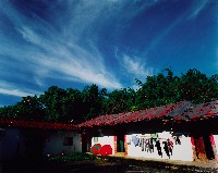 藏品(濃濃鄉土情)的圖片