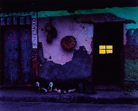 藏品(濃濃鄉土情)的圖片