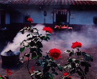 藏品(濃濃鄉土情)的圖片