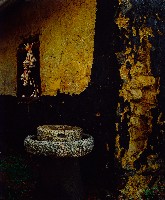 藏品(濃濃鄉土情)的圖片