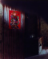 藏品(濃濃鄉土情)的圖片