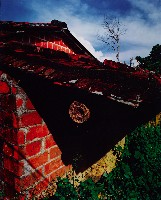 藏品(濃濃鄉土情)的圖片