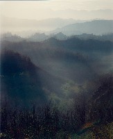 藏品(彩竹的故鄉)的圖片