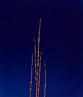 藏品(彩竹的故鄉系列-1996年9月 龍崎烏樹林)的圖片