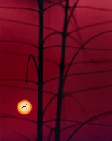 藏品(彩竹的故鄉系列-1996年12月 內門烏山頭)的圖片