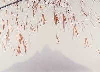 藏品(彩竹的故鄉系列-1996年1月 左鎮鹽水坑)的圖片